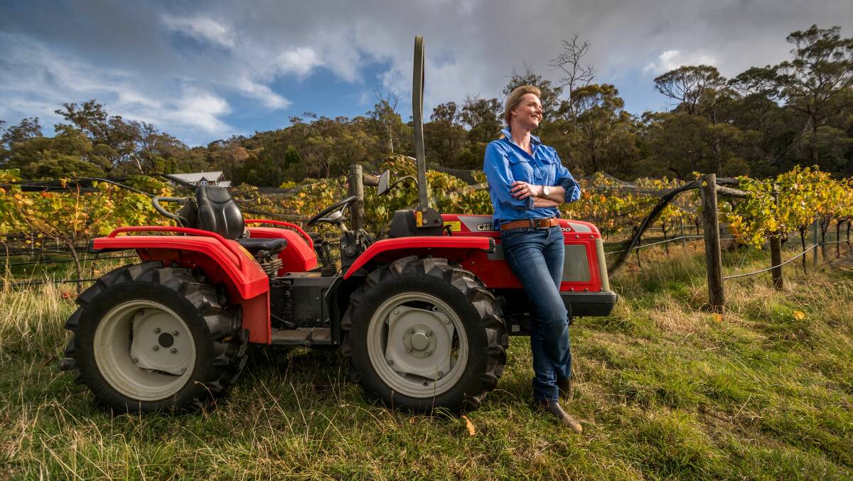 SEE YOU AT AGFEST: Sarah Courtney preparing for the field days at her Sidmouth vineyard. Picture: Phillip Biggs