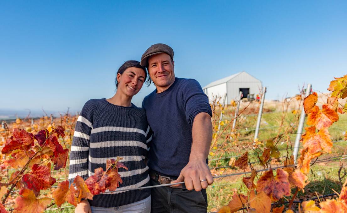 Matthias and Lauren Utzinger have grown their own vineyard on once pastured land. Picture: Phillip Biggs