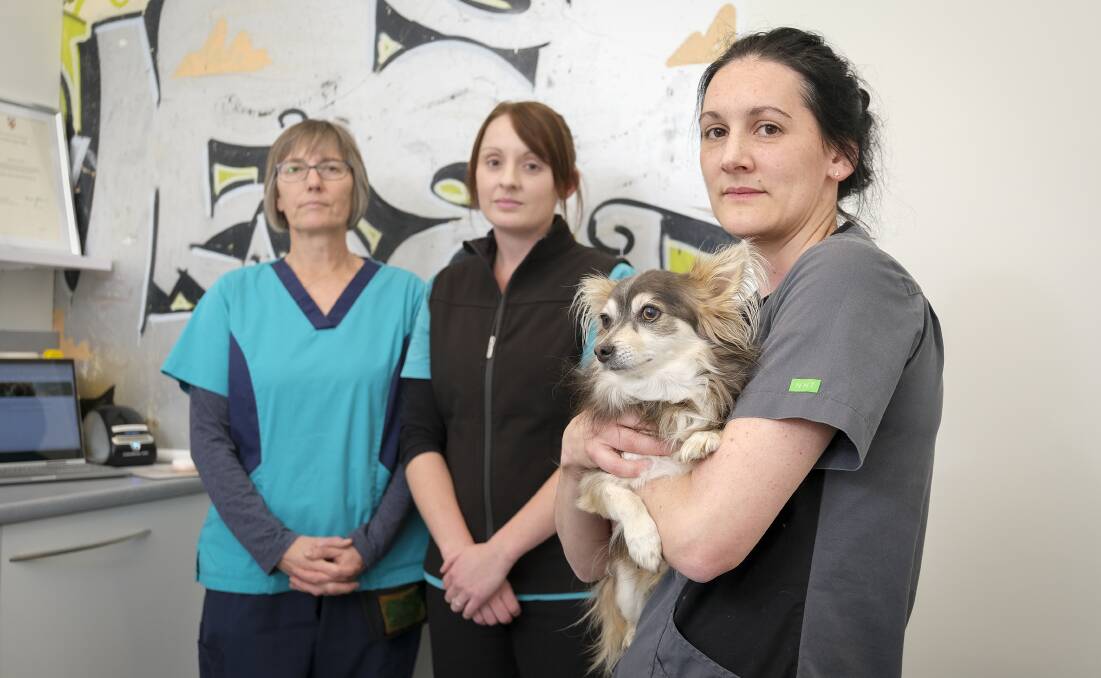 NO VETS: Pets Life Veterinary Care vet nurses Clare Johnson and Lauren Costelloe with Dr Jennifer Griffiths. Picture: Craig George