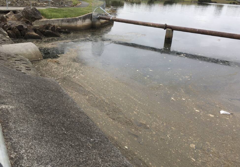 SLUDGE: Brown muck atop the water at George Town, with a dead seagull in the bottom left hand corner, which is now being investigated. Picture: Supplied