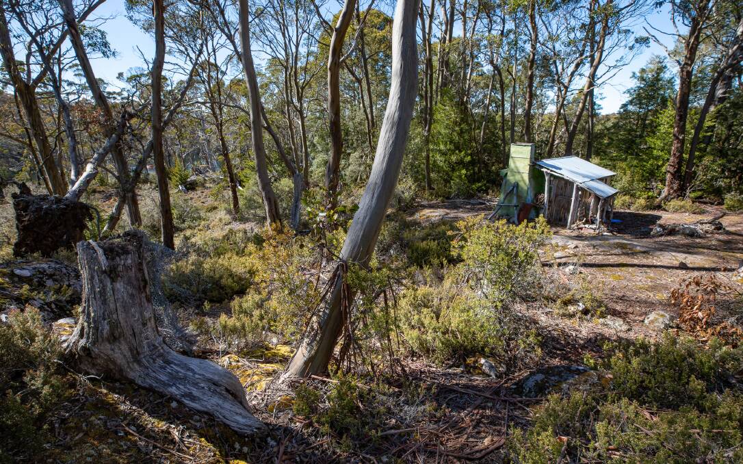 The Halls Island hut in 2019. It was first built by Reg Hall. Picture: Dan Broun - supplied.