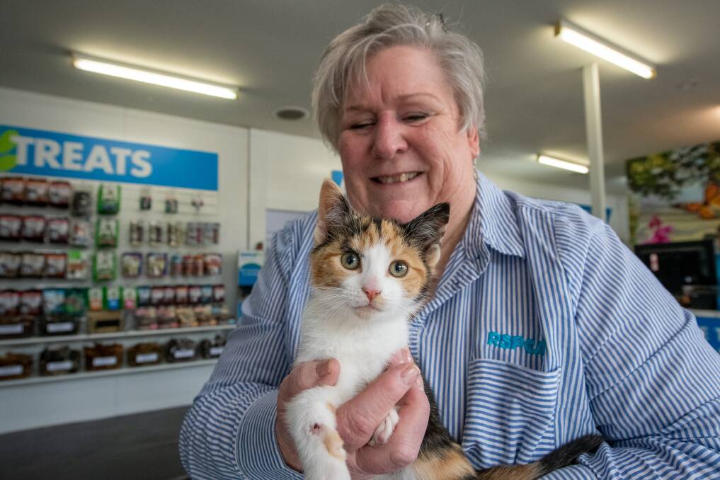 PAW-FECT: RSPCA Tasmania chief executive Jan Davis with Nellie, who is up for adoption. Picture: Paul Scambler