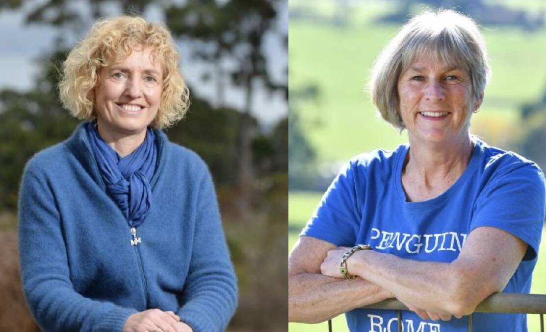Fighting back: Independent Murchison MLC Ruth Forrest asked Tasmanian Liberal leader Leonie Hiscutt about a coroner recommendation into non-fatal strangulation. Pictures: File.