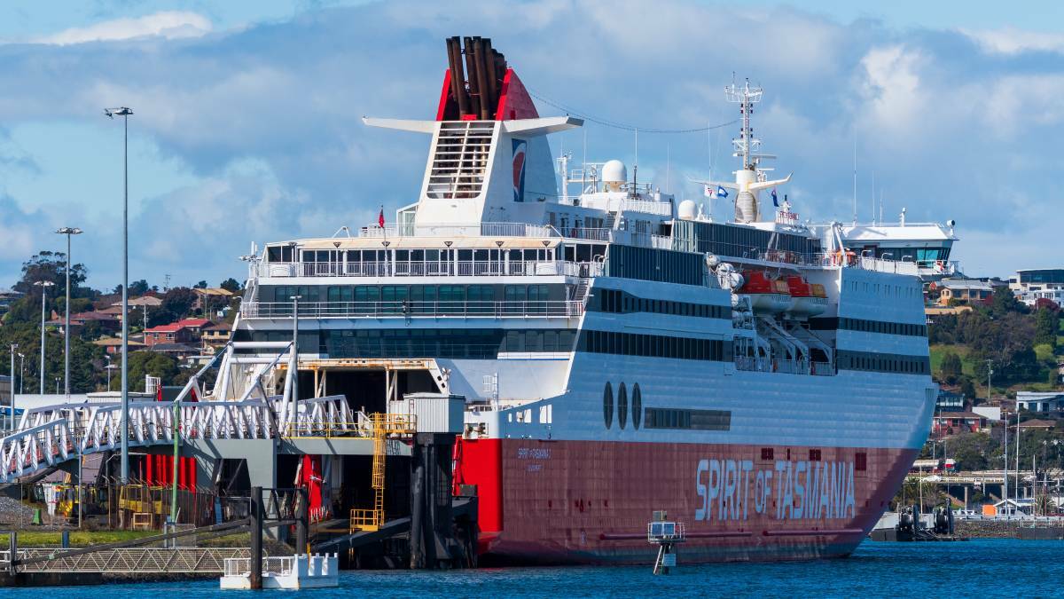 Ship Ho! Spirit bookings up as travel certainty returns