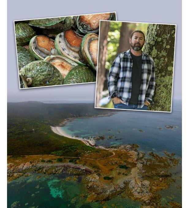 CULTURAL SIGNIFICANCE: The shores of Cape Barren Island/truwana. Inset left - Abalone, also called muttonfish, nitipa or makarina. Inset right - pakana man Adam Thompson. Pictures: File