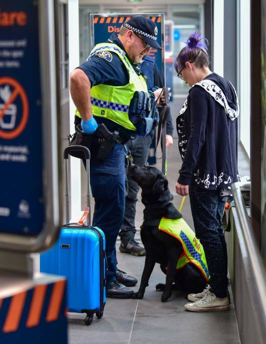 Constable Storay and PD Fang during a search in Launceston. Picture: File