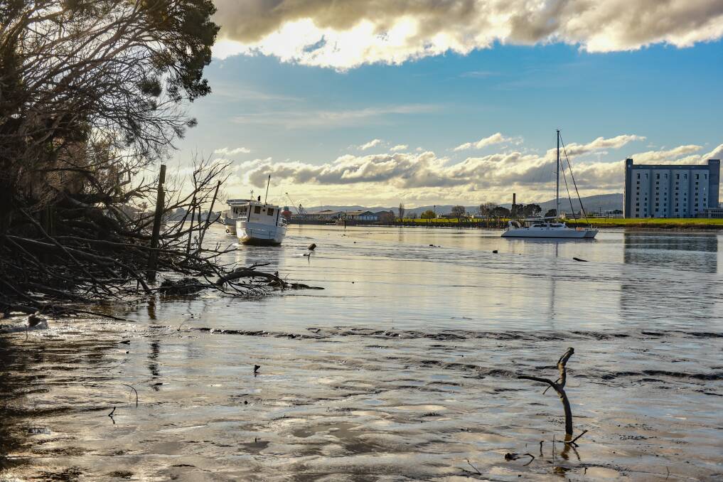 The view up kanamaluka/ Tamar Estuary from the Tamar Rowing Club towards Riverbend Park. Picture: Paul Scambler