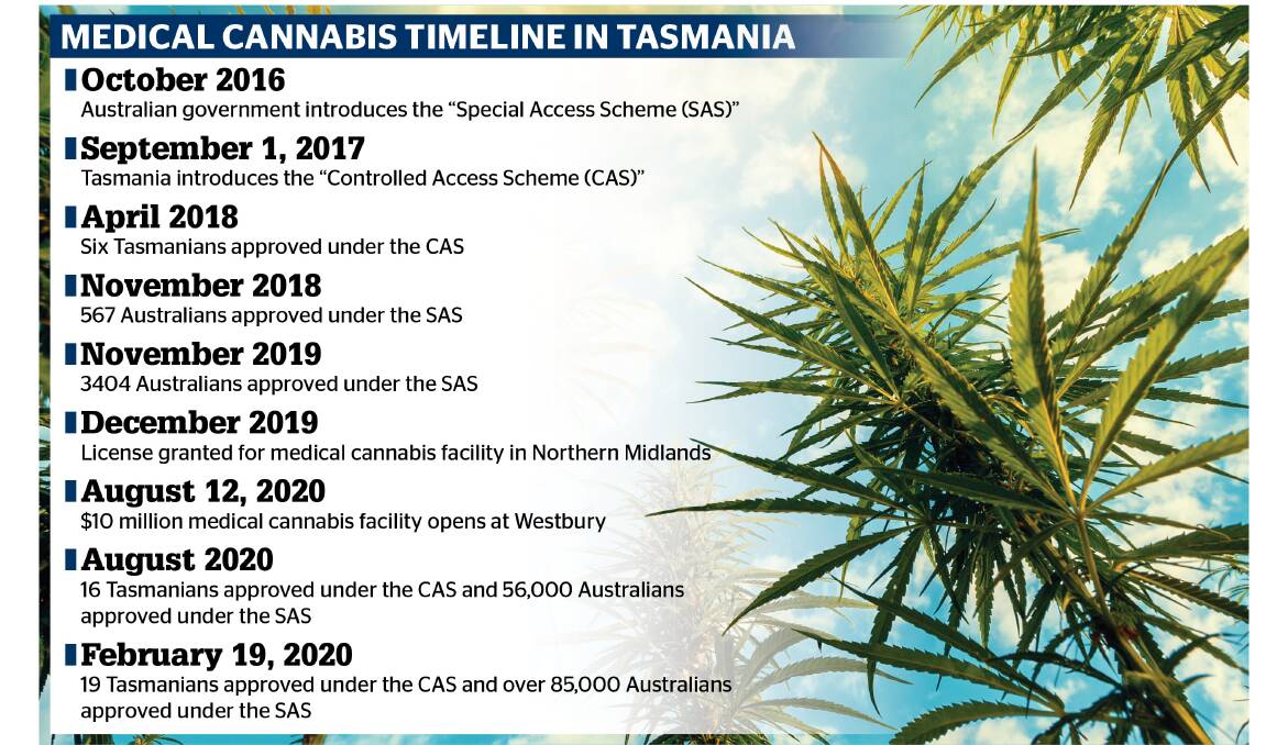 Why access to medicinal cannabis is so tough for Tasmanians