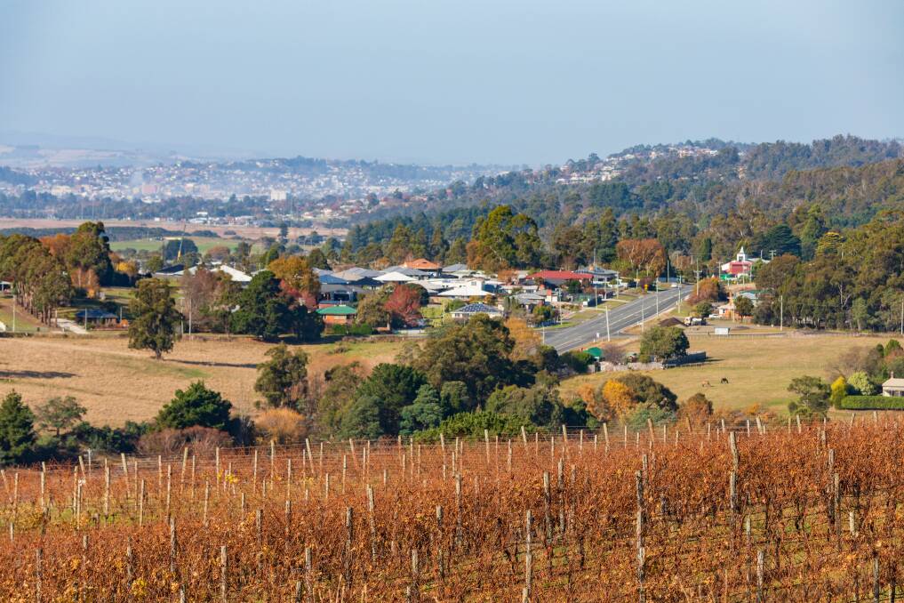 The view into Launceston from the vineyard. Picture: Phillip Biggs