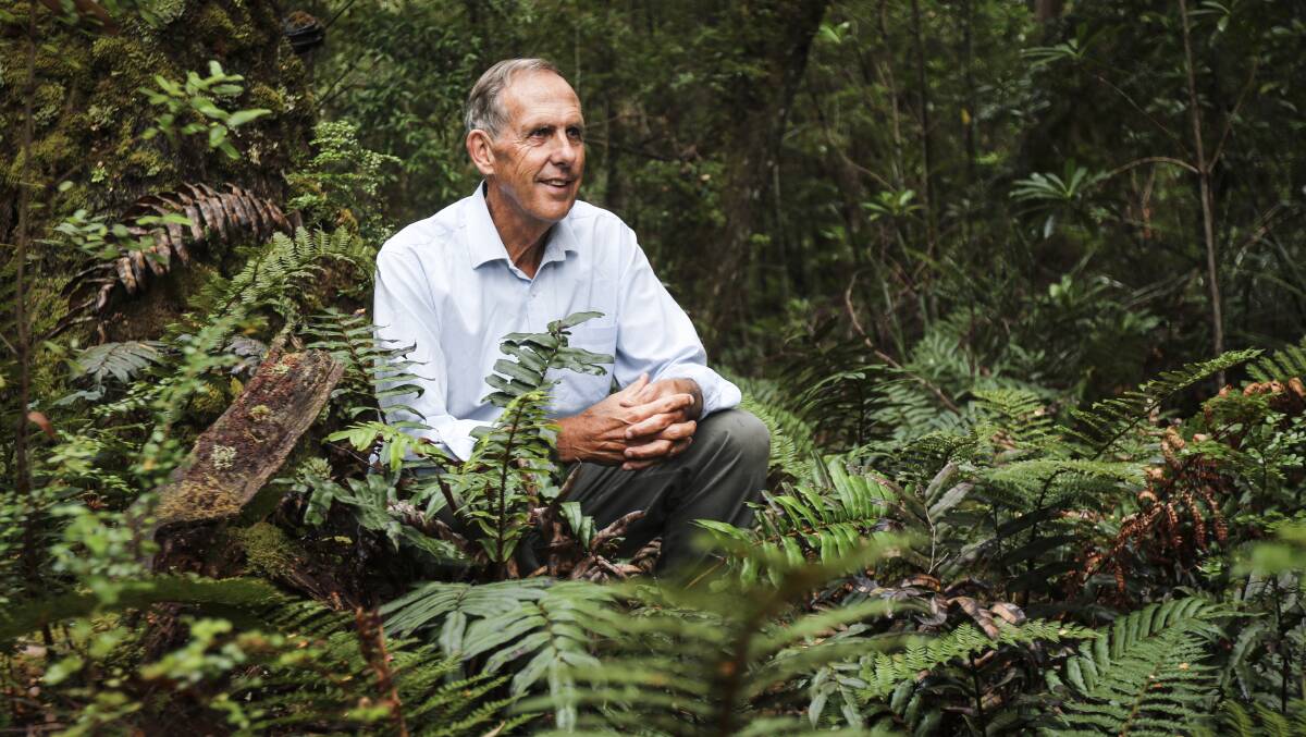 SITTING PRETTY: Bob Brown believes he's been handed a solution to stop logging in the Tarkine. Picture: File