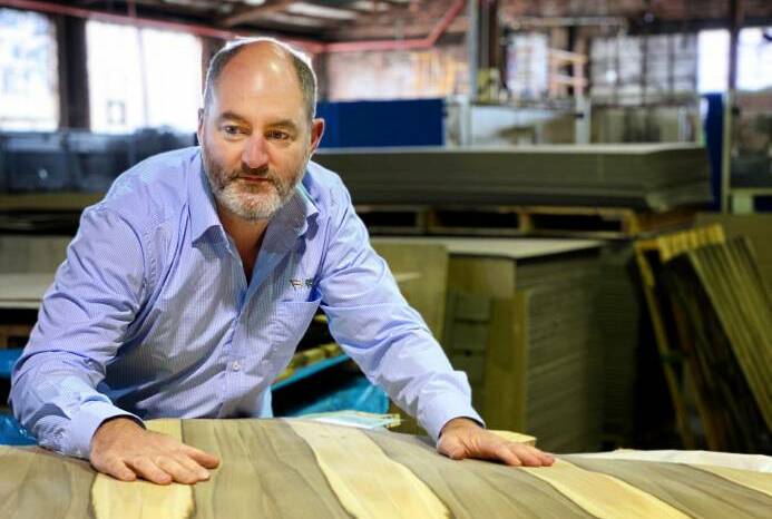RARE: Britton Timbers managing director Shawn Britton with a blackheart sassafras veneer leaf. Picture: Supplied