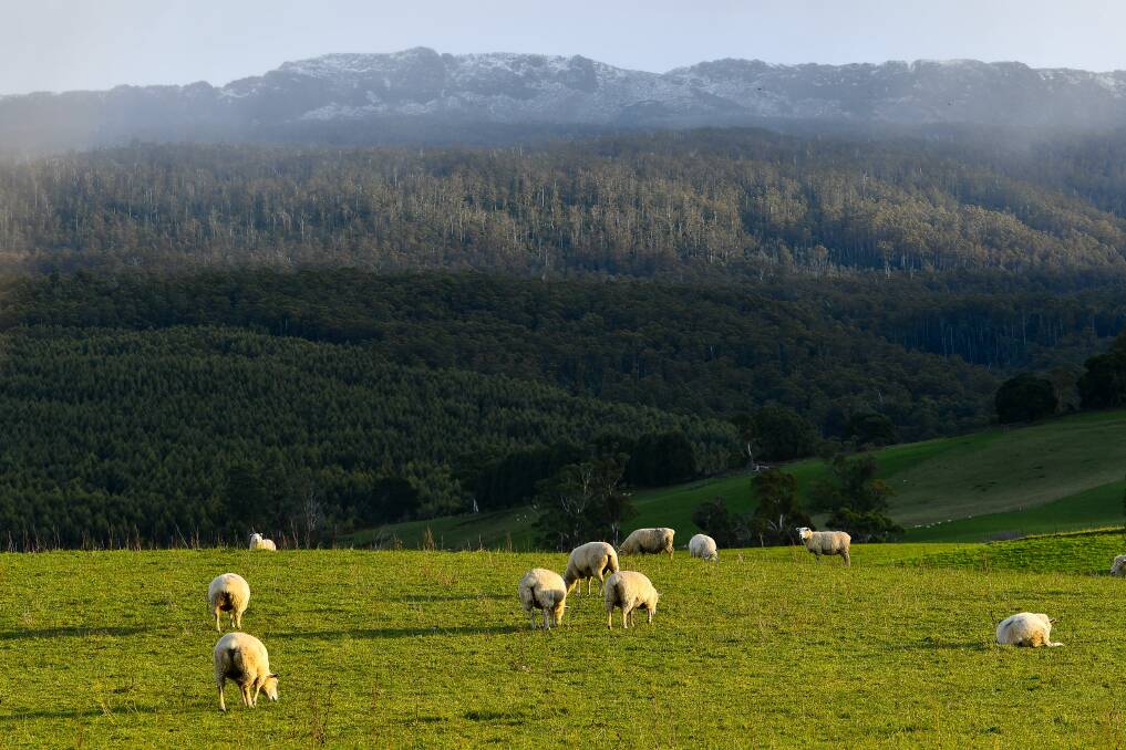 VIEWS: The Great Western Tiers could be considered as the site for a new multi-day walk if the Meander Valley Council approves a notice of motion at Tuesday's meeting. Picture: Scott Gelston