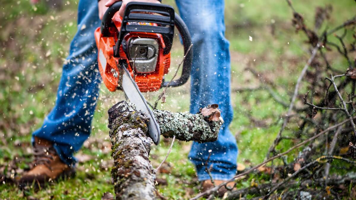 Chainsaw course coming to North East