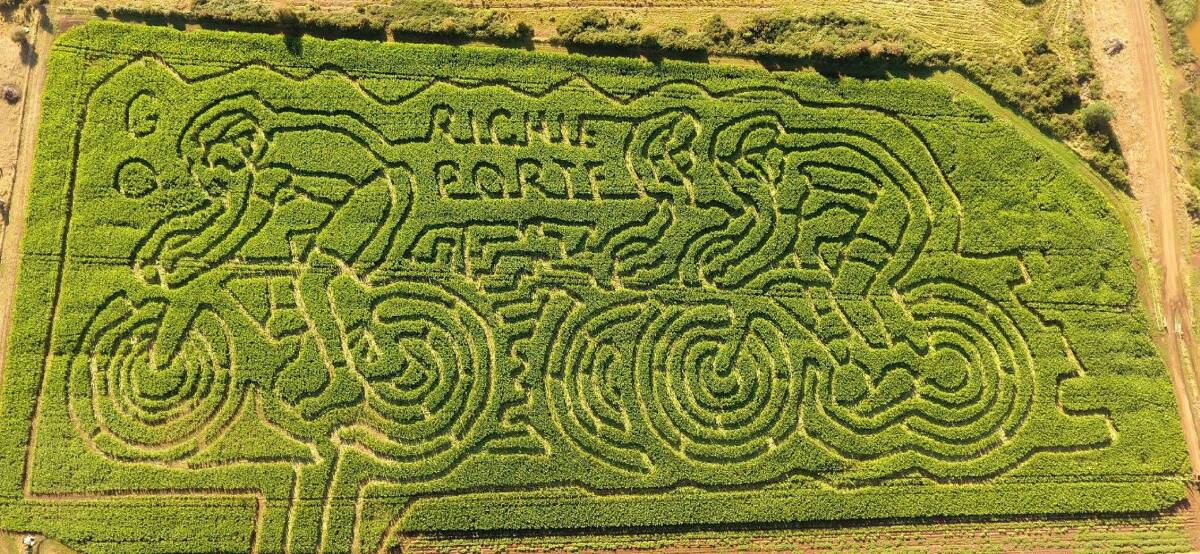 LOST: Tasmanian cyclist Richie Porte has been used as inspiration for this year's Rupertswood Farm Maze which opens on February 24 for five weekends only. Picture: Supplied/Will Whishaw