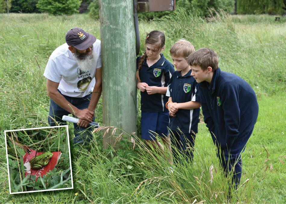 CROAK: Craig Broadfield with Westbury Primary School pupils Reghan, Callen and Zach looking at an endangered frog at the town common. 