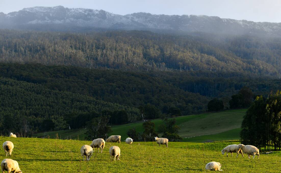 PRETTY: The Great Western Tiers could soon inspire a new playground at Mole Creek. Picture: Scott Gelston