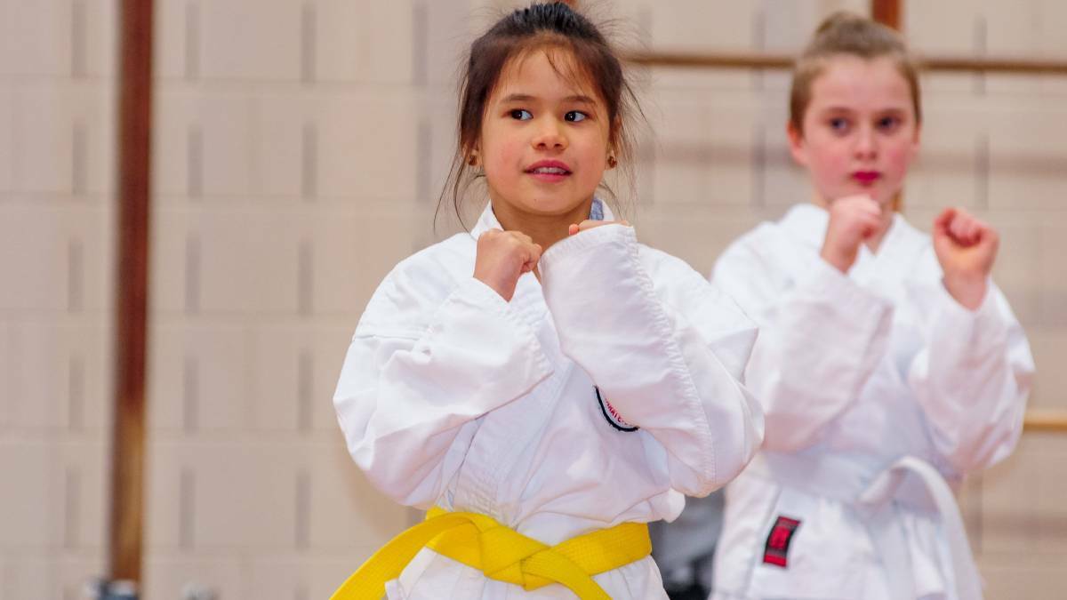Karate funding request approved by City of Launceston council
