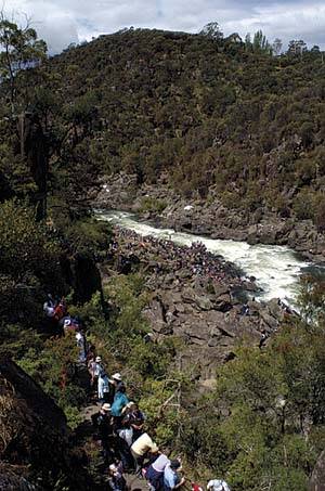 Spectators pack the gorge for a view of the spectacle.(1/11)