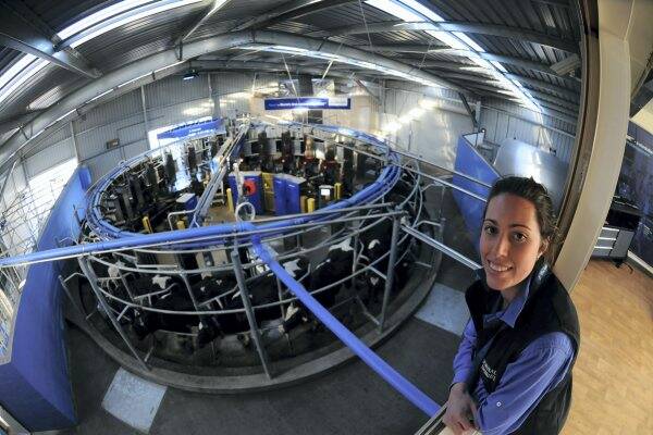  Rebekah Tyler shows off the Gala dairy farm's robotic rotary, or automatic milking rotary.  Picture: PAUL SCAMBLER