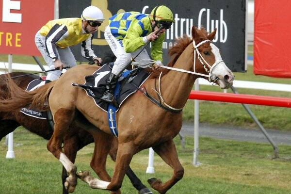 Jason Maskiell rides debutant Apache Son to victory in yesterday's Maiden Plate at Mowbray.  Picture: PETER STAPLES