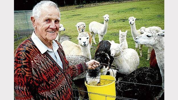 Undercover Alpaca Expo co-ordinator Ken Manning wants to share his passion for the animals with more Tasmanians at the Deloraine event.