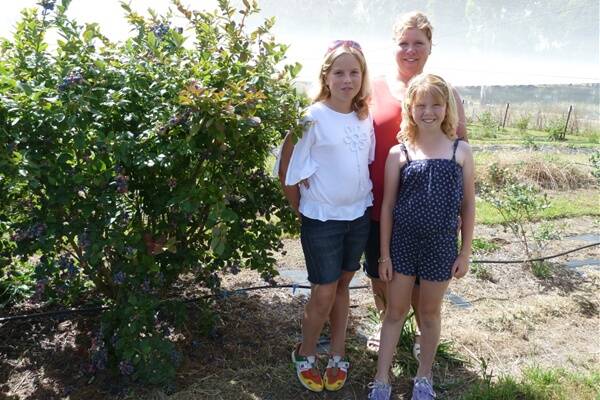 Aviemore Blueberry and Cherry Farm co-owner Rachel DeWit with daughters Abby,11, and Georgia Clements, 9