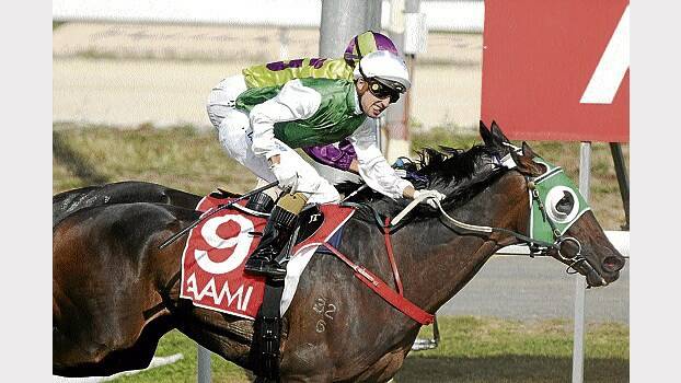 Launceston Cup winner Prevailing, ridden by Anthony Darmanin. Prevailing heads the weights for the Brighton Cup.