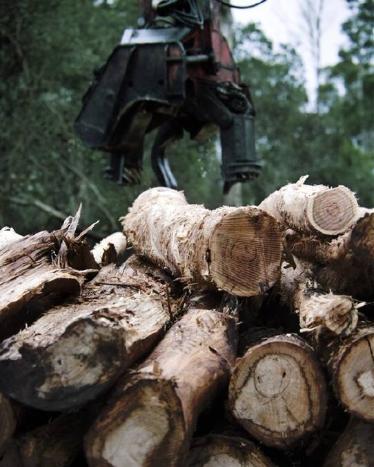 Log supply cut blow for Gunns
