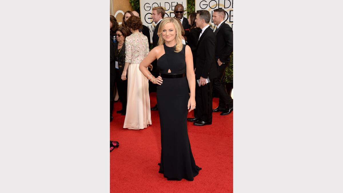 Amy Poehler. Picture: Getty Images