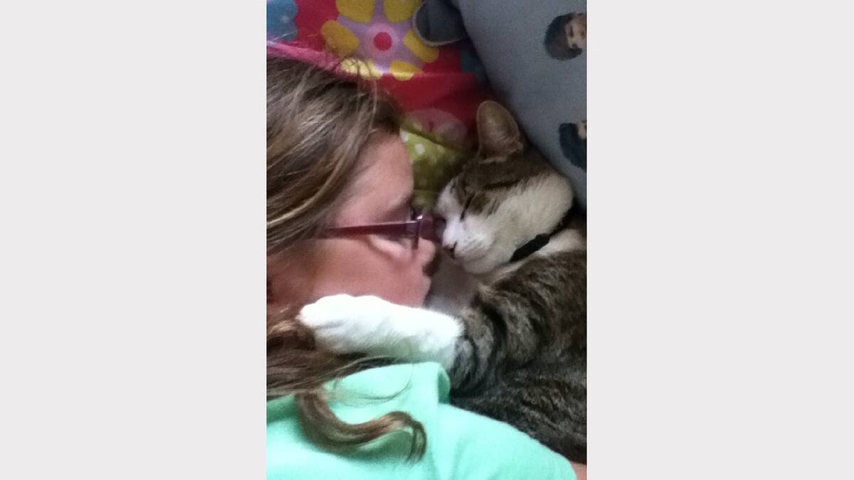 'Paige and Spike having a cat nap'. Sent in by Tynaha