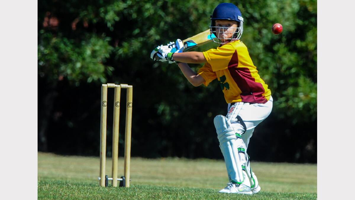 NTCA vacation week cricket: Westbury v Launceston. Picture: Neil Richardson