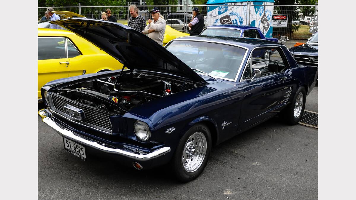 About 70 cars lined the grounds of Aurora Stadium in Launceston for the 24th annual USA Day. Picture: Neil Richardson