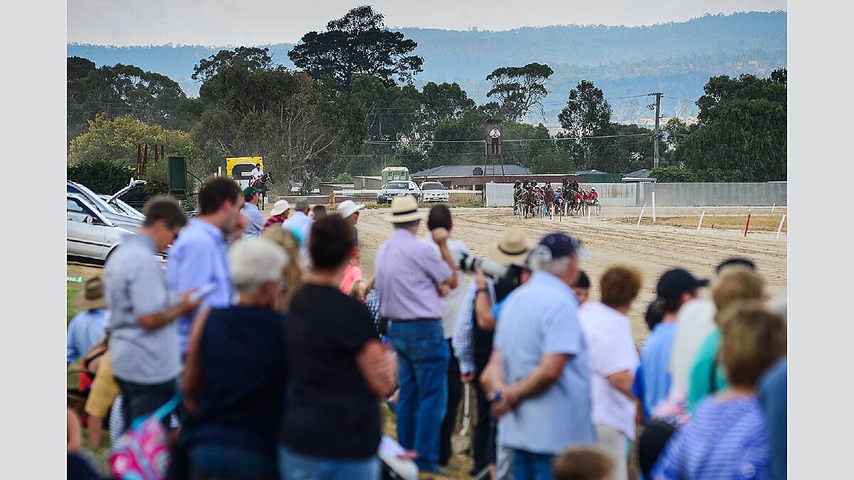 The Carrick Park Pacing Club  celebrated 100 years at its annual cup meeting. Picture: Phillip Biggs