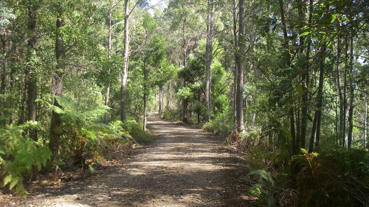 The proposed rail trail is still a work in progress near Legerwood in North-East Tasmania.