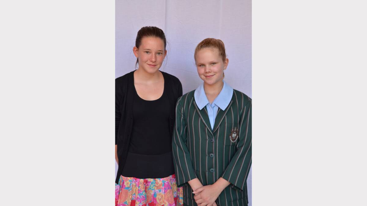 Posters Section: Junior Division. Merit: Kelsi Jarvis and Cassie Ogle, both of St Mary's College.