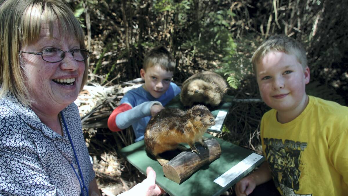 Gorge education program volunteer Rocelyn Ives talks to Rhys Walker, 8, of Margate, and his cousin Lachlan Walker, 10, of Devonport, about wildlife.
