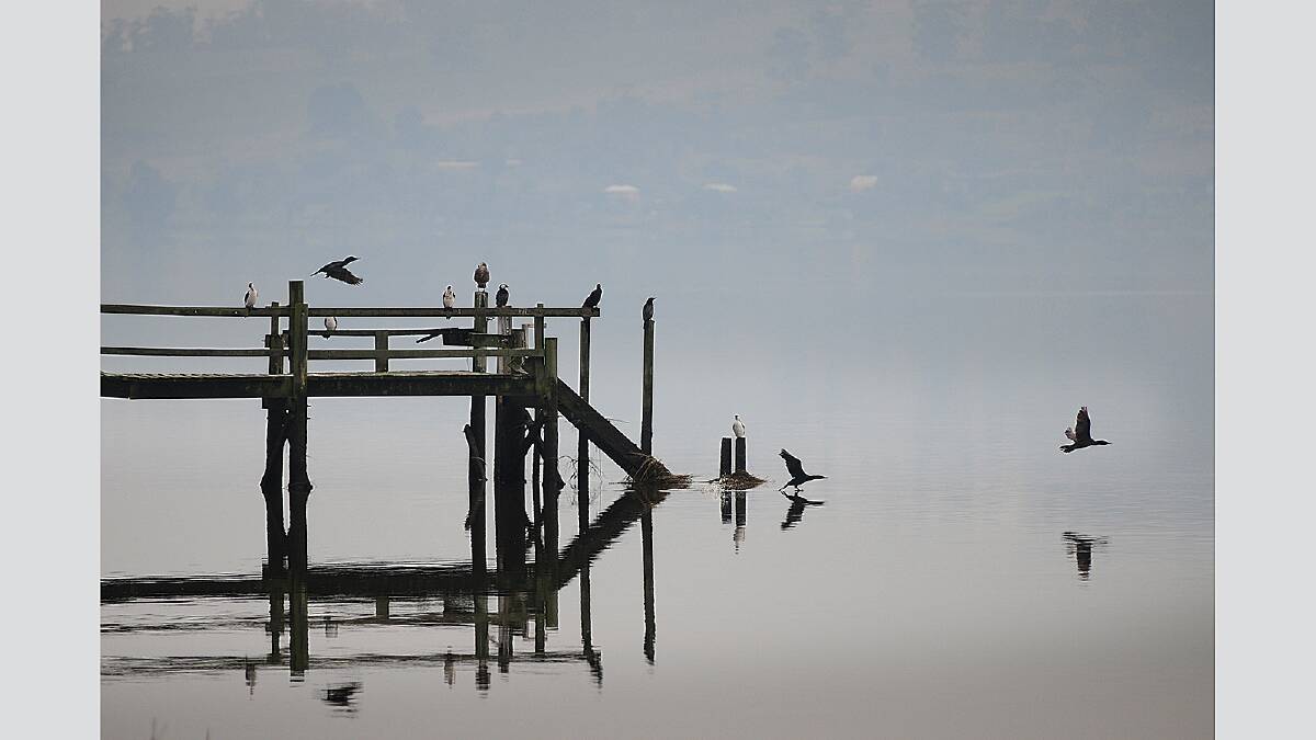 Thursday May 31 2012  photo:  Phillip Biggs pic for first day of winter: Tamar River jetty at Rosevears on a misty morning.