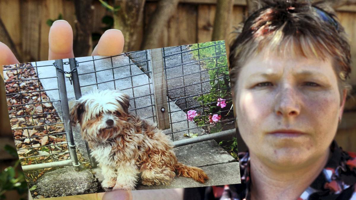 Christine Kleiner, of Rocherlea, with a photo of her dog Cheyanne, who was brutally attacked and left to die over the weekend. Picture: PAUL SCAMBLER