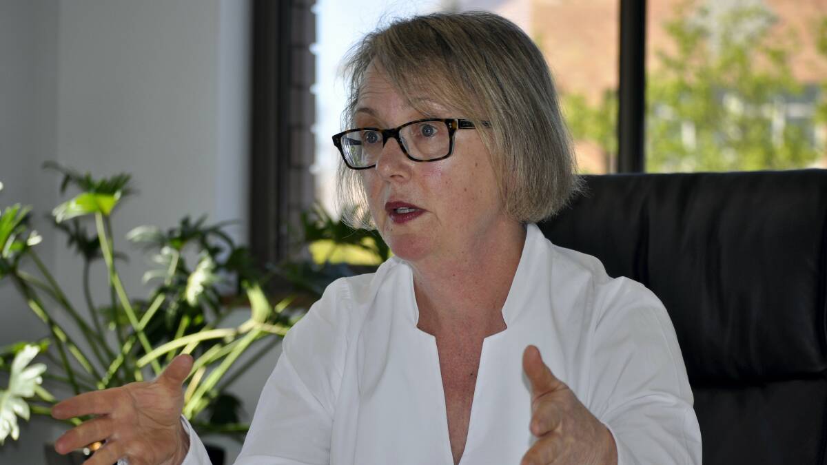 Integrity Commission chief executive Diane Merryfull