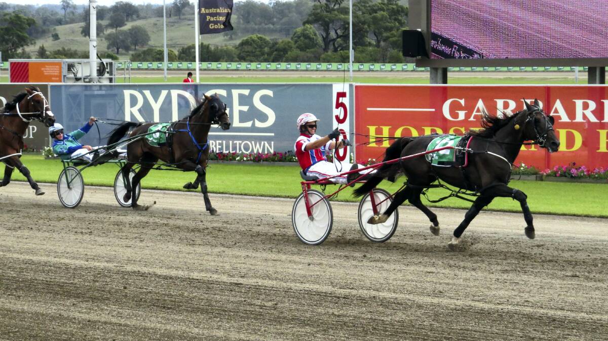 James Rattray drives Beautide to victory in yesterday's Interdominion final.