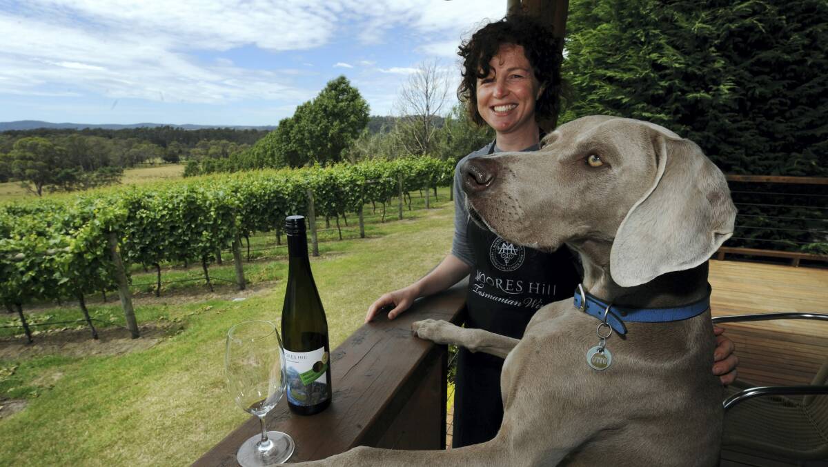 Moores Hill Estate owner Fiona Weller with her dog, Otto, enjoying the summer weather. Picture: WILL SWAN