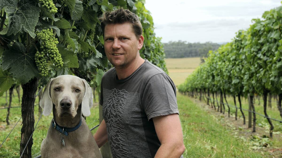 Moores Hill vineyard owner and winemaker Julian Allport with his dog Otto in the vineyard. Picture: PAUL SCAMBLER