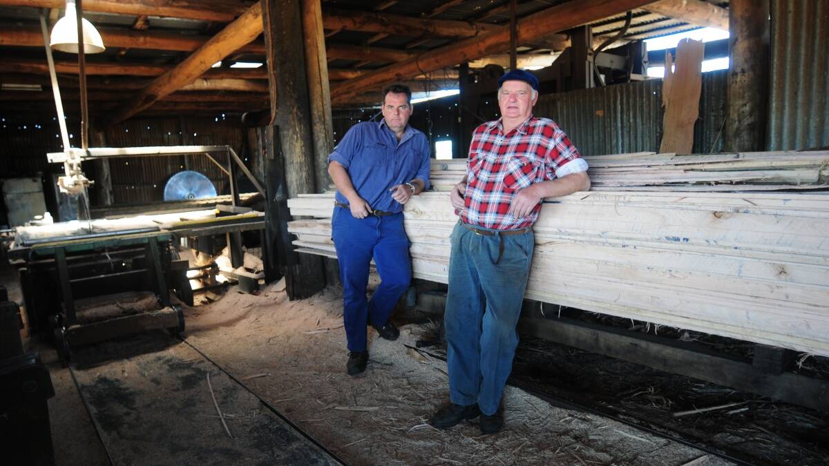 Bradley Johnson and his father Barry in the Campbell Town sawmill.  Pictures: PETER SANDERS