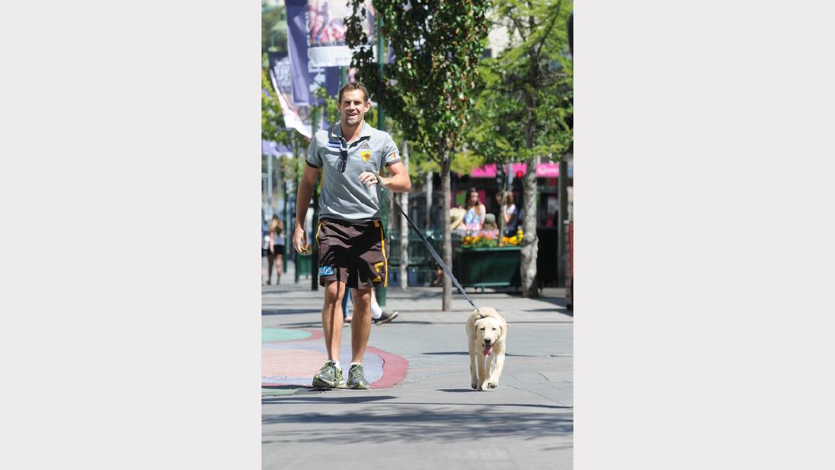 Members of the Hawthorn Football Club went head-to-head with some of Launceston's very lovable guide dogs in the Brisbane St Mall. The Hawks went down in a tail-biter.