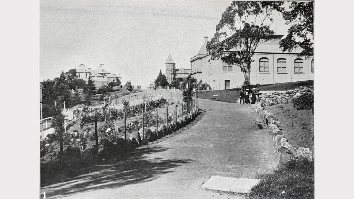 Royal Park showing the museum, December 1913.