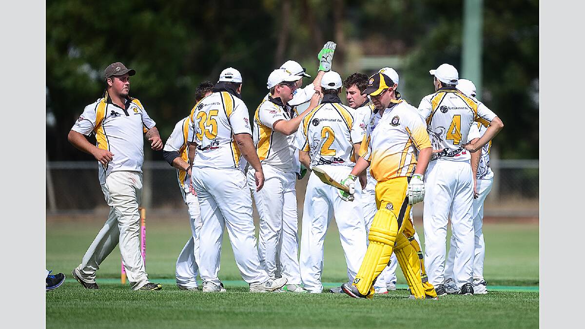 TCL cricket – Longford vs Beauty Point at Longford. Photos by Phillip Biggs.