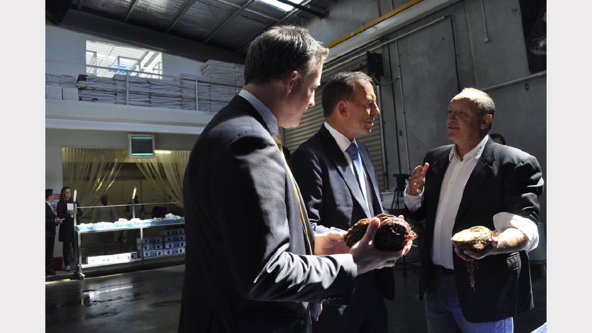 Tasmanian Opposition Leader Will Hodgman, Prime Minister Tony Abbott and Tas Live Abalone director Mark Daft examining live abalone.	