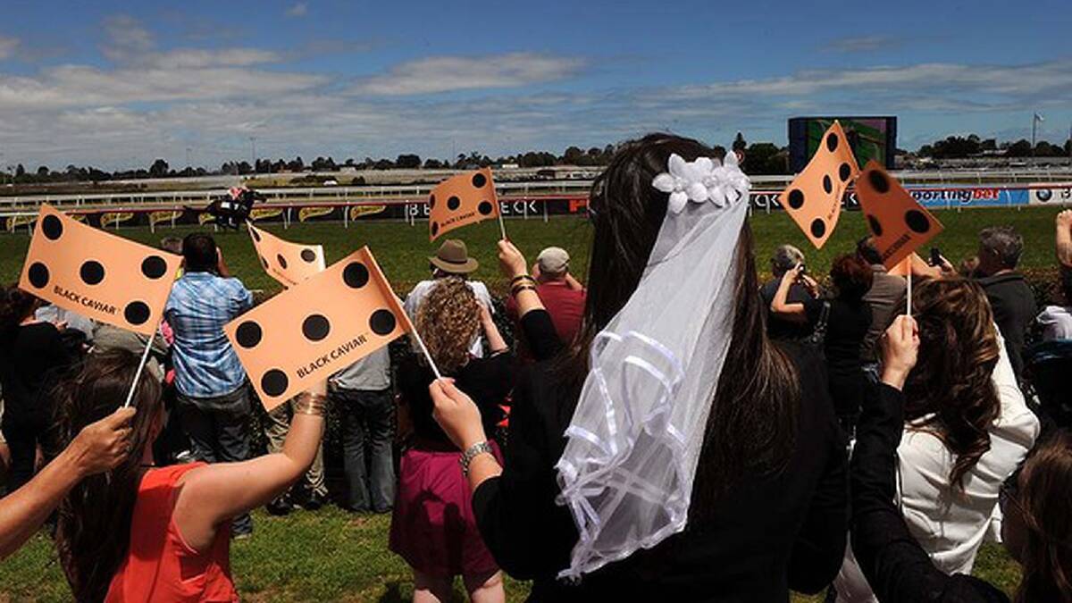 Bride-to-be Melissa Fielding watches Black Caviar's gallop at Caulfield. Photo: Mal Fairclough