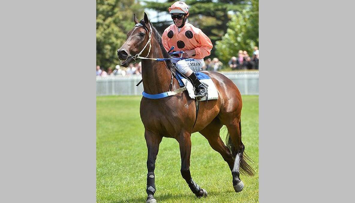 Black Caviar's first race start in this preparation will be the 1000 metre Black Caviar Lightning Stakes on February 16. Photo: Vince Caligiuri
