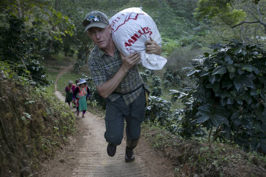 Ray Buerger, owner of Thai High Ventures, carries a large bag of freshly picked coffee beans at the Thai High coffee farm on December 8, 2012 in Phrao, northern Thailand. Photo by Paula Bronstein/Getty Images